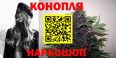 прущие грибы Конаково