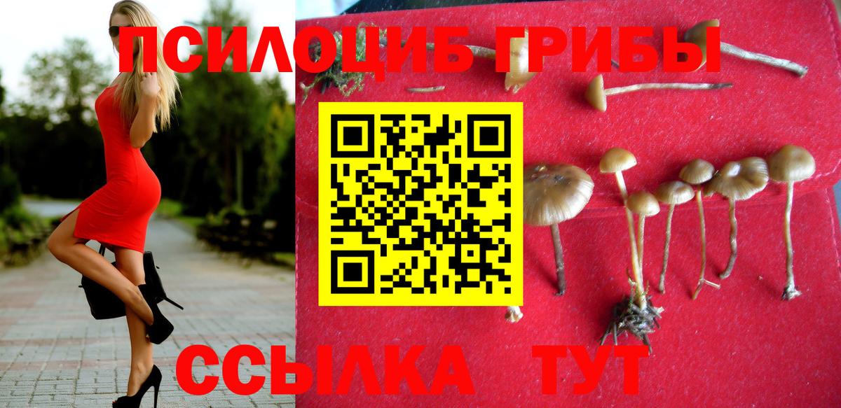 Псилоцибиновые грибы GOLDEN TEACHER Ливны