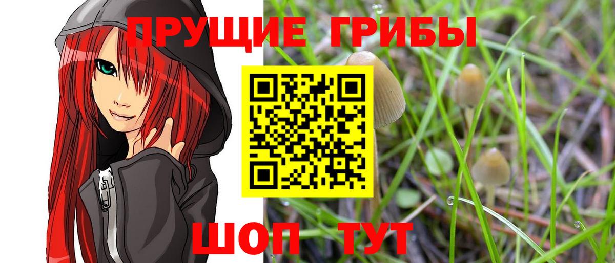A PVP Ливны